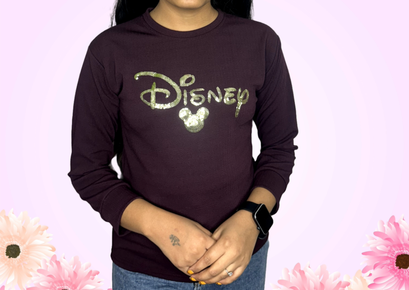 Brown Embroidered Round Neck Sweatshirt